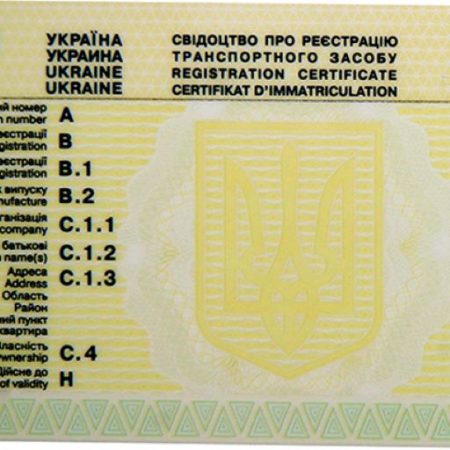 Як перевірити авто на підробку документів: захист від шахраїв