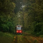 17 трамвай Київ