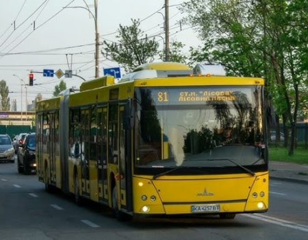 81 автобус Київ