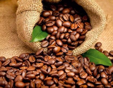 Кава в зернах: чому вибір зерна вирішує більше, ніж метод заварювання